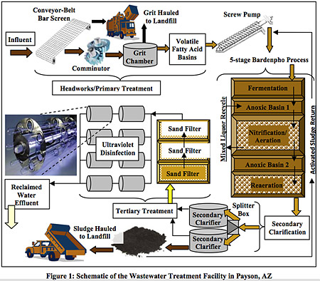 What is the role of anoxic treatment tanks in the sewage treatment